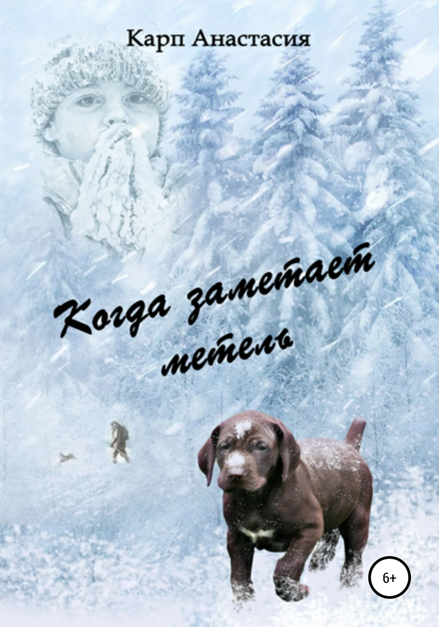 Обложка Когда заметает метель