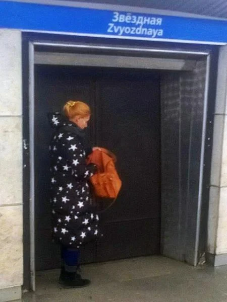 Портрет Елена Звездная