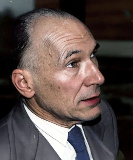 Портрет Иво М. Хаис