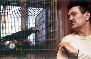 Портрет Виктор Рафаэльевич Дольник