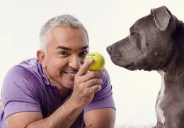 Портрет Цезарь Миллан