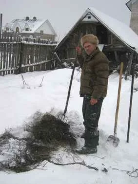 Портрет Викторий Данилович Девяткин