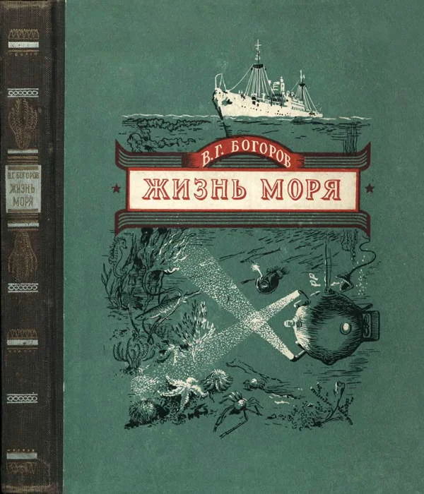 Обложка Жизнь моря