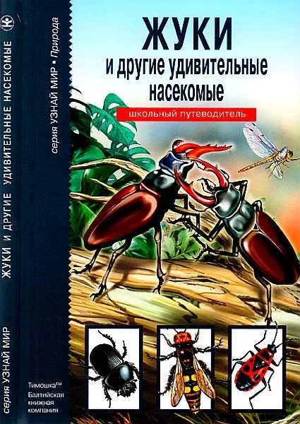 Обложка Жуки и другие удивительные насекомые