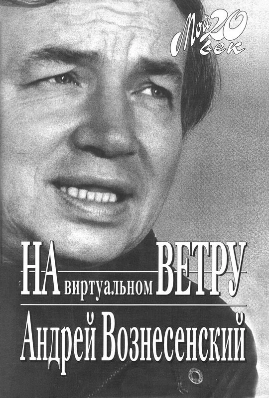 Обложка На виртуальном ветру