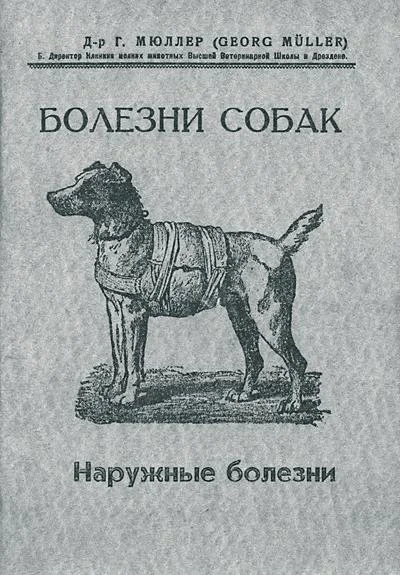 Обложка Болезни собак. Краткое руководство. Наружные болезни