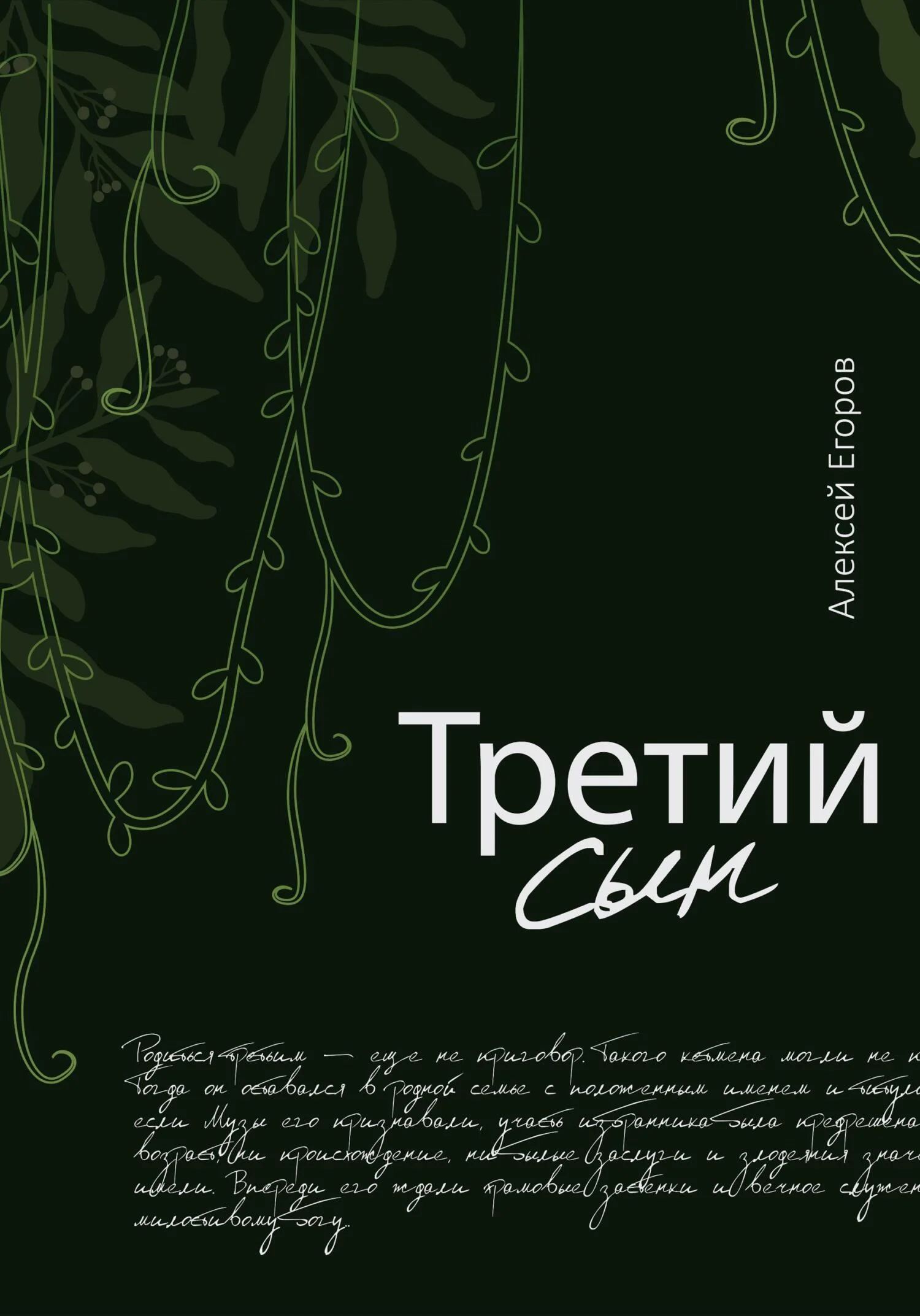 Обложка Третий сын