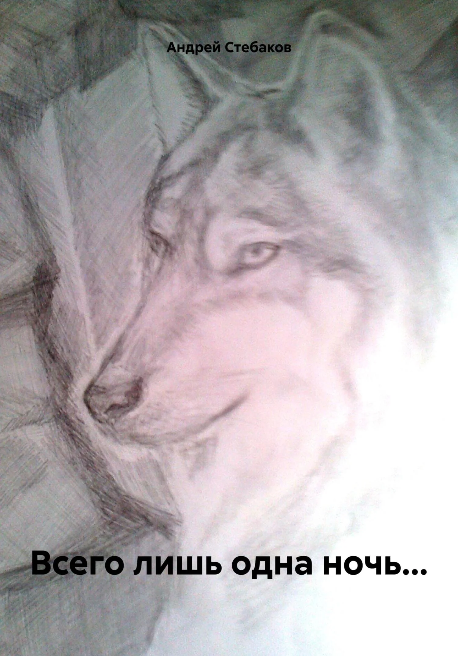 Обложка Всего лишь одна ночь…