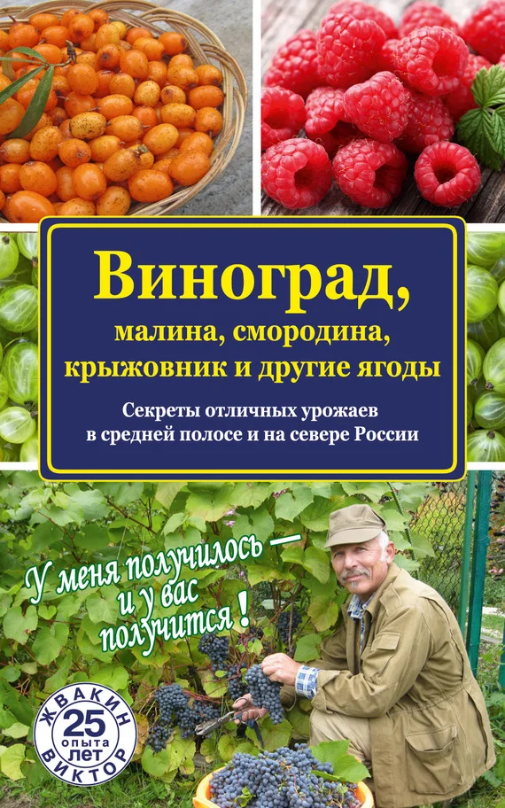 Обложка Виноград, малина, смородина, крыжовник и другие ягоды