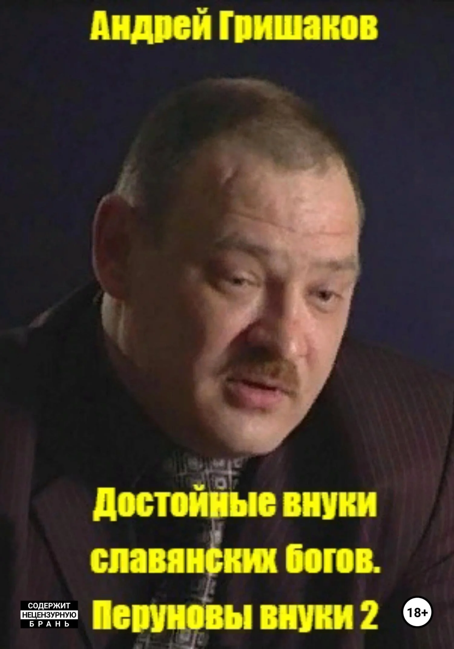 Обложка Достойные внуки славянских богов. Перуновы внуки 2