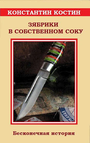 Обложка Зябрики в собственном соку, или Бесконечная история