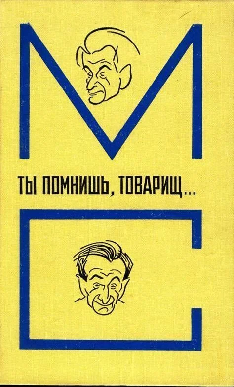 Обложка Ты помнишь, товарищ…