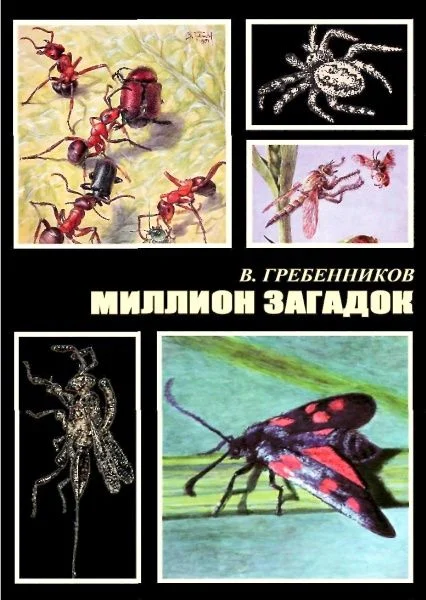 Обложка Миллион загадок