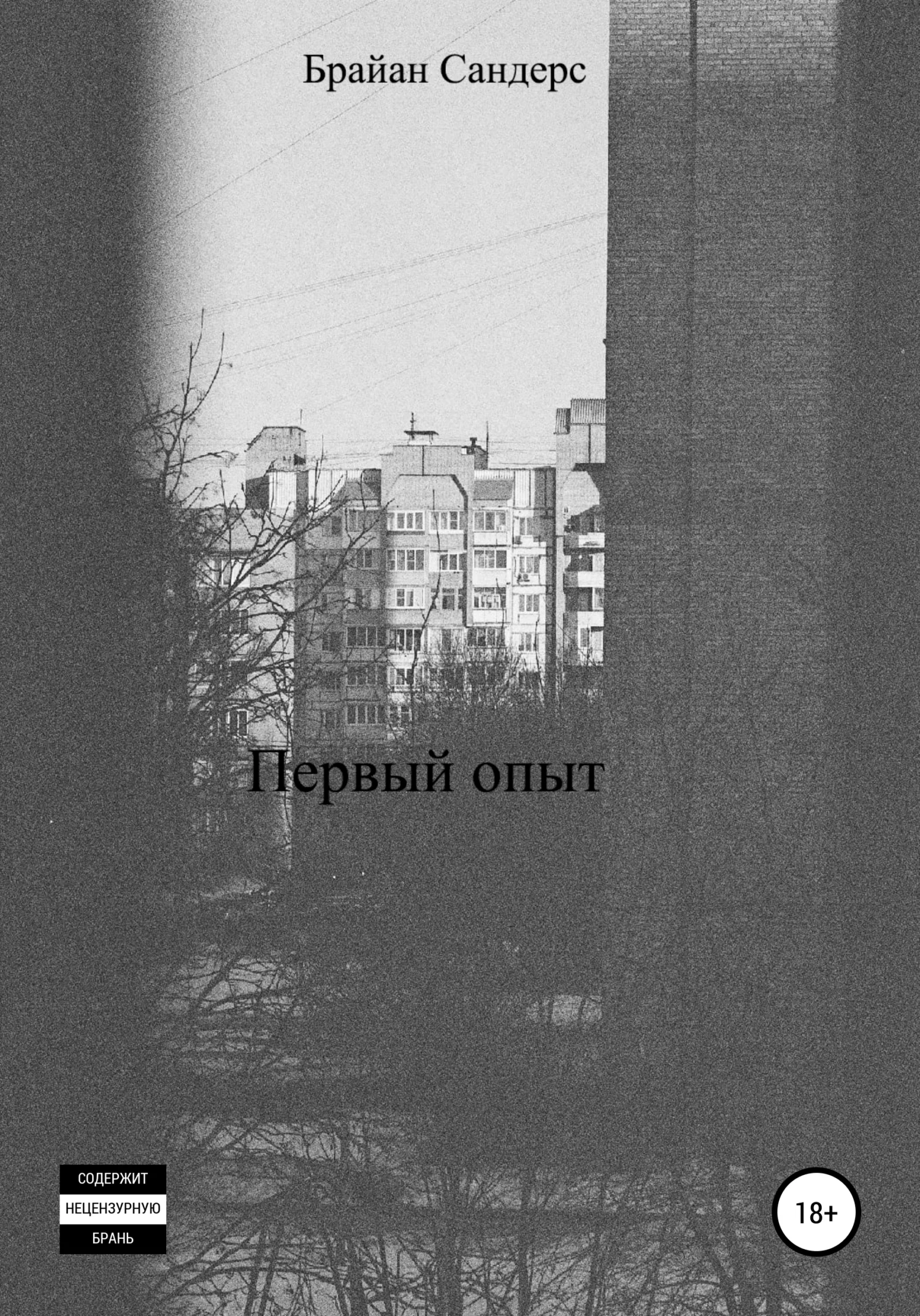 Обложка Первый опыт