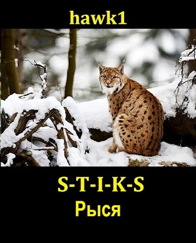 Обложка Рыся