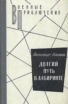 Обложка Долгий путь в лабиринте