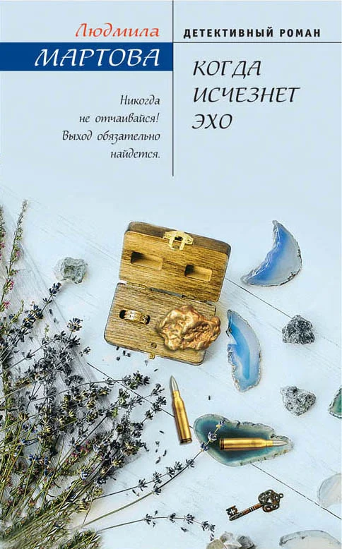 Обложка Когда исчезнет эхо