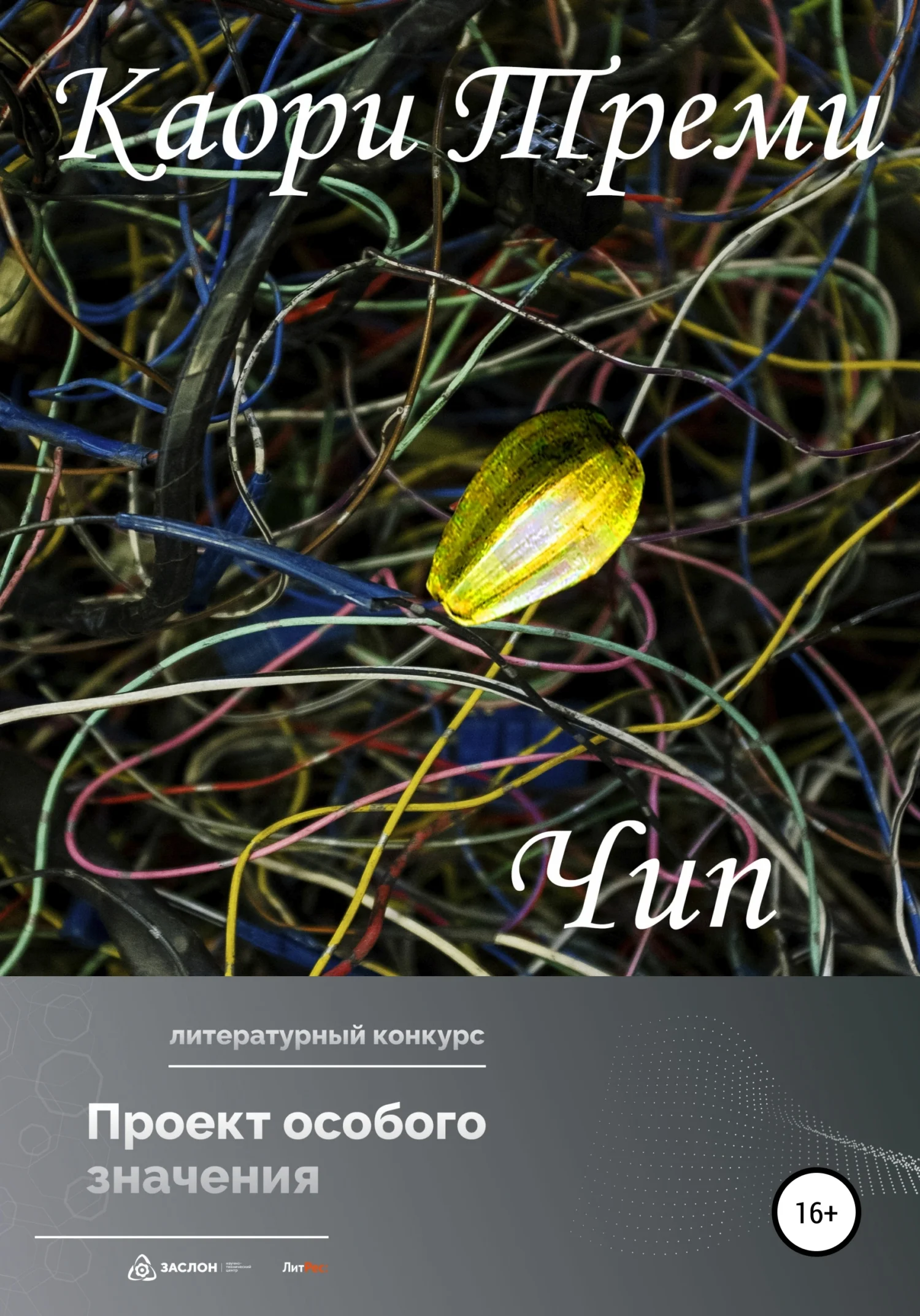 Обложка Чип