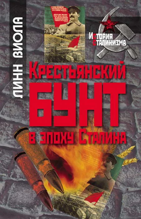 Обложка Крестьянский бунт в эпоху Сталина: Коллективизация и культура крестьянского сопротивления