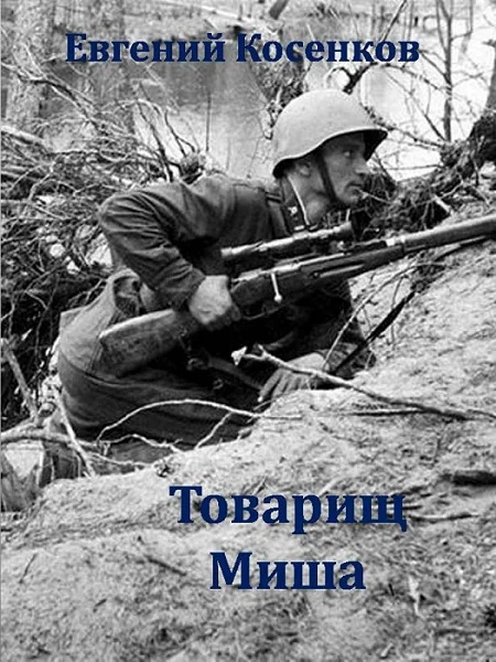 Обложка Товарищ Миша