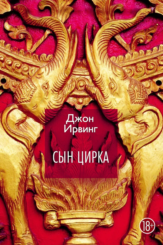 Обложка Сын цирка