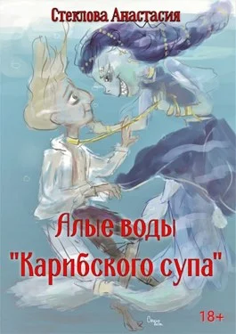 Обложка Алые воды "Карибского супа"