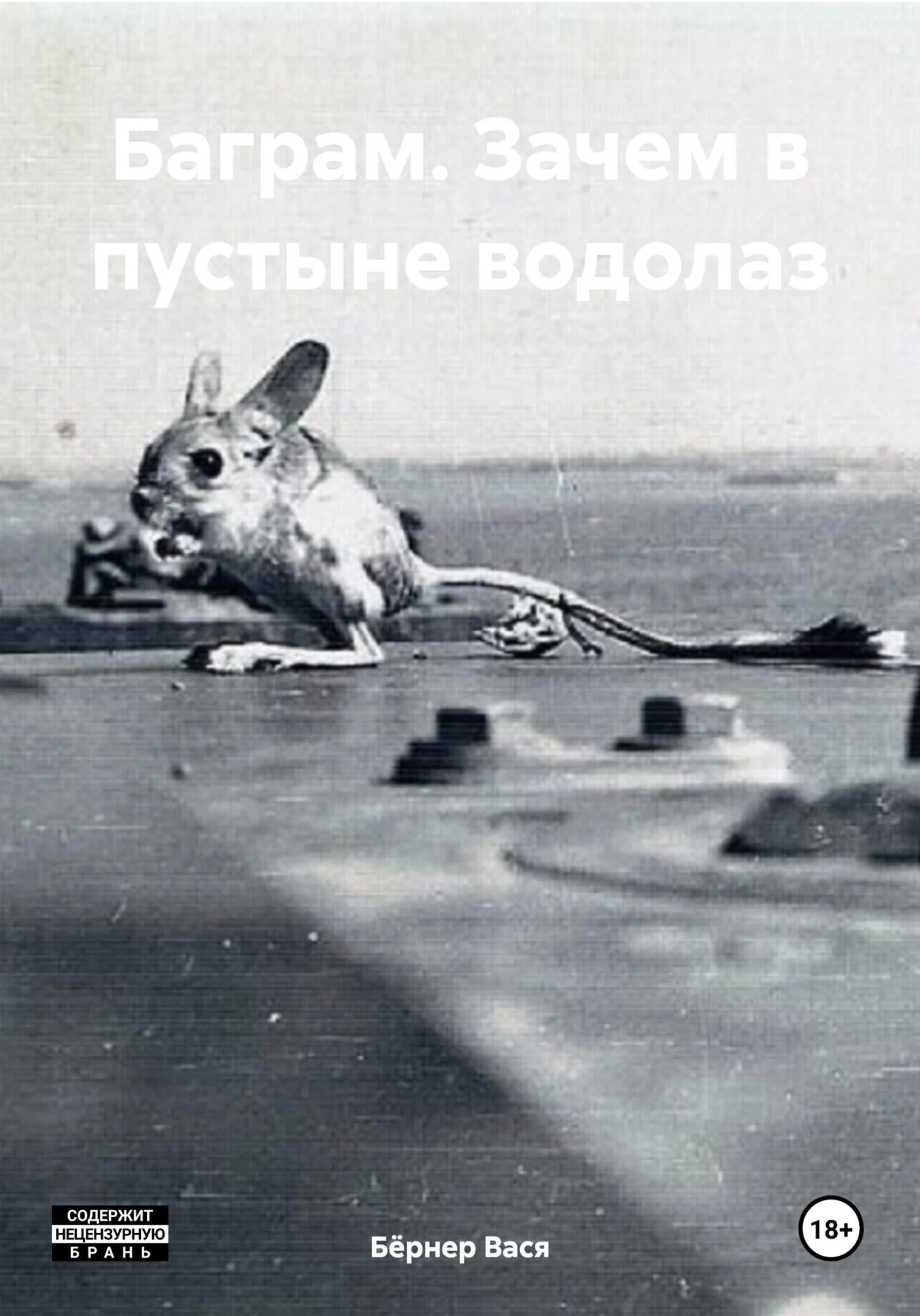 Обложка Баграм. Зачем в пустыне водолаз