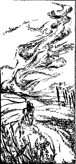 Обложка Ксения