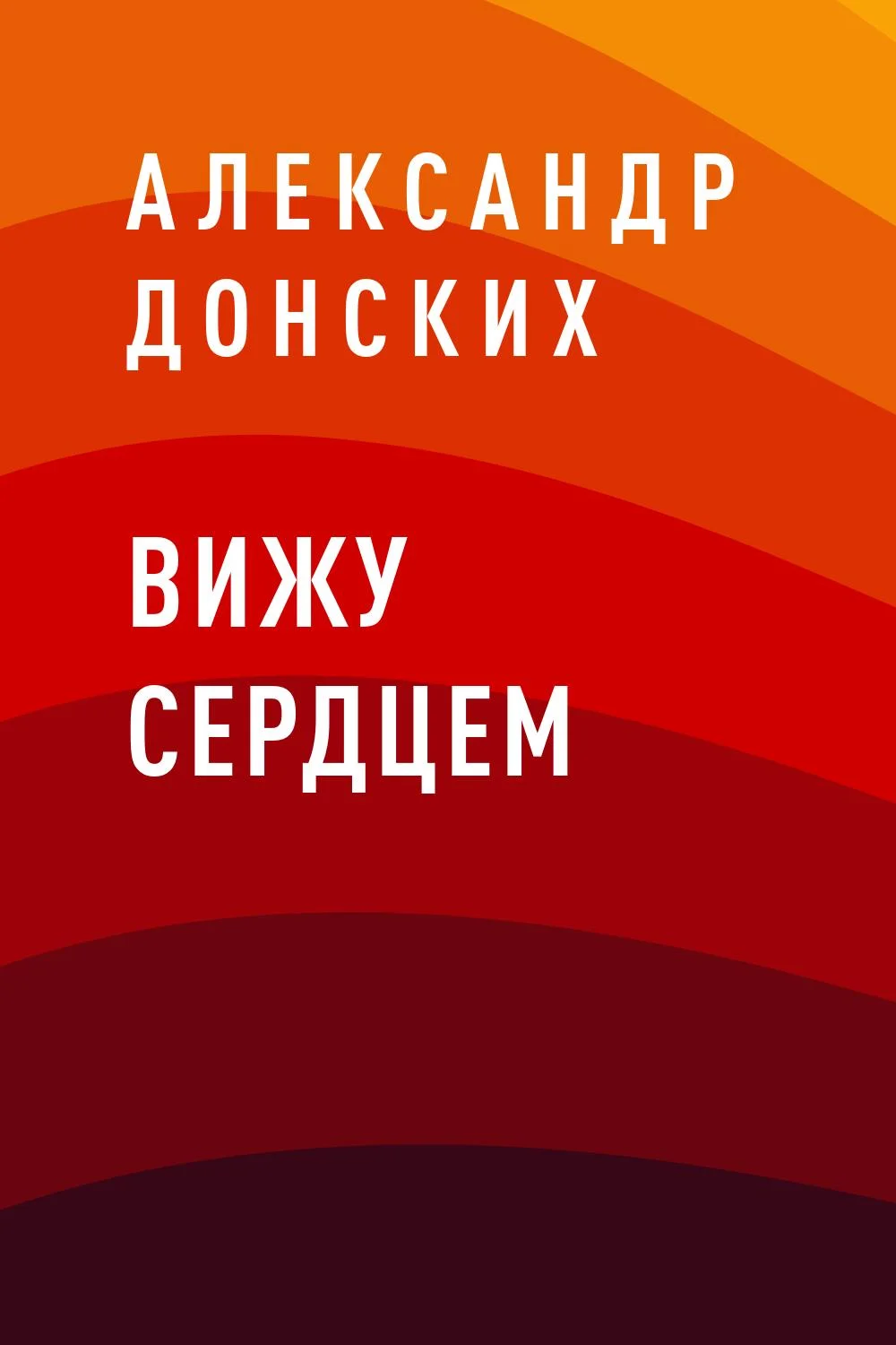 Обложка Вижу сердцем