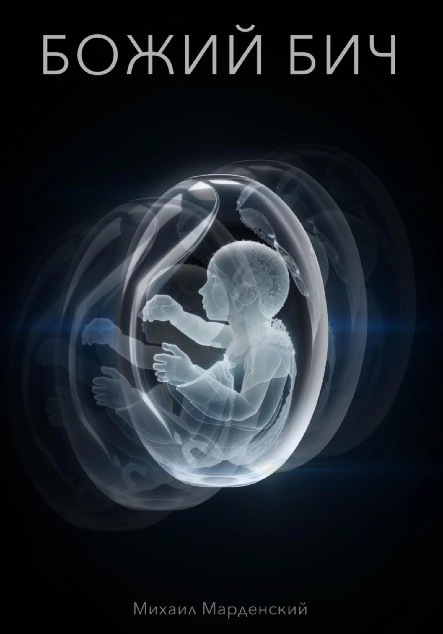 Обложка Божий Бич