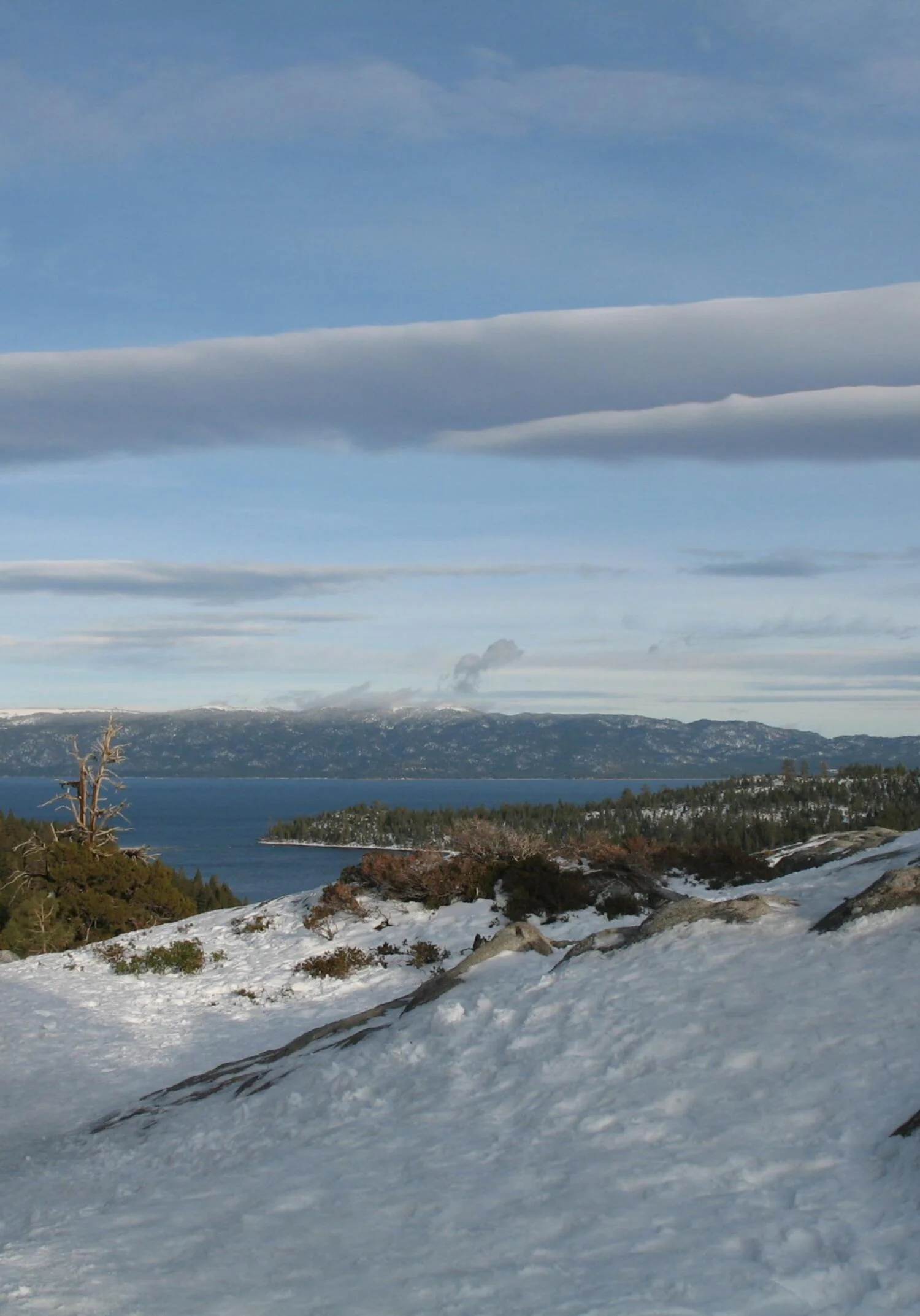 Обложка Богословка Авеню