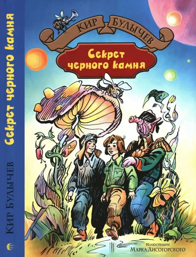 Обложка Секрет черного камня