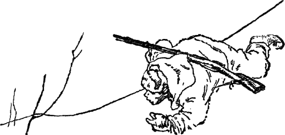 Обложка Линия связи