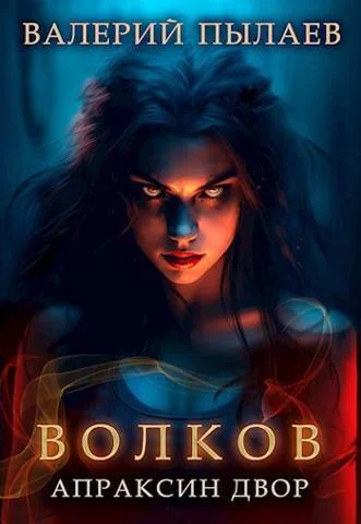 Обложка Апраксин двор
