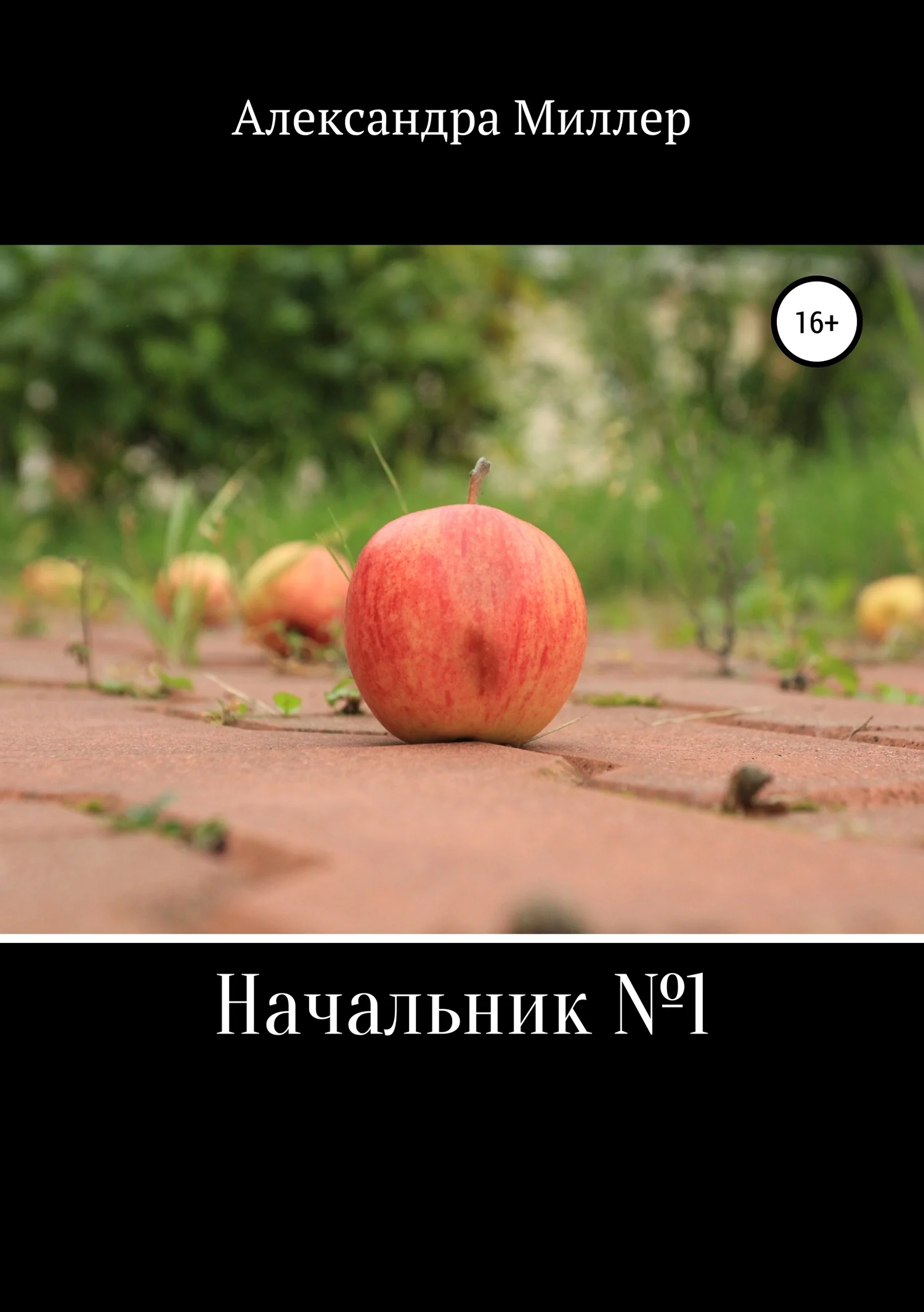 Обложка Начальник №1