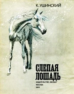 Обложка Слепая лошадь