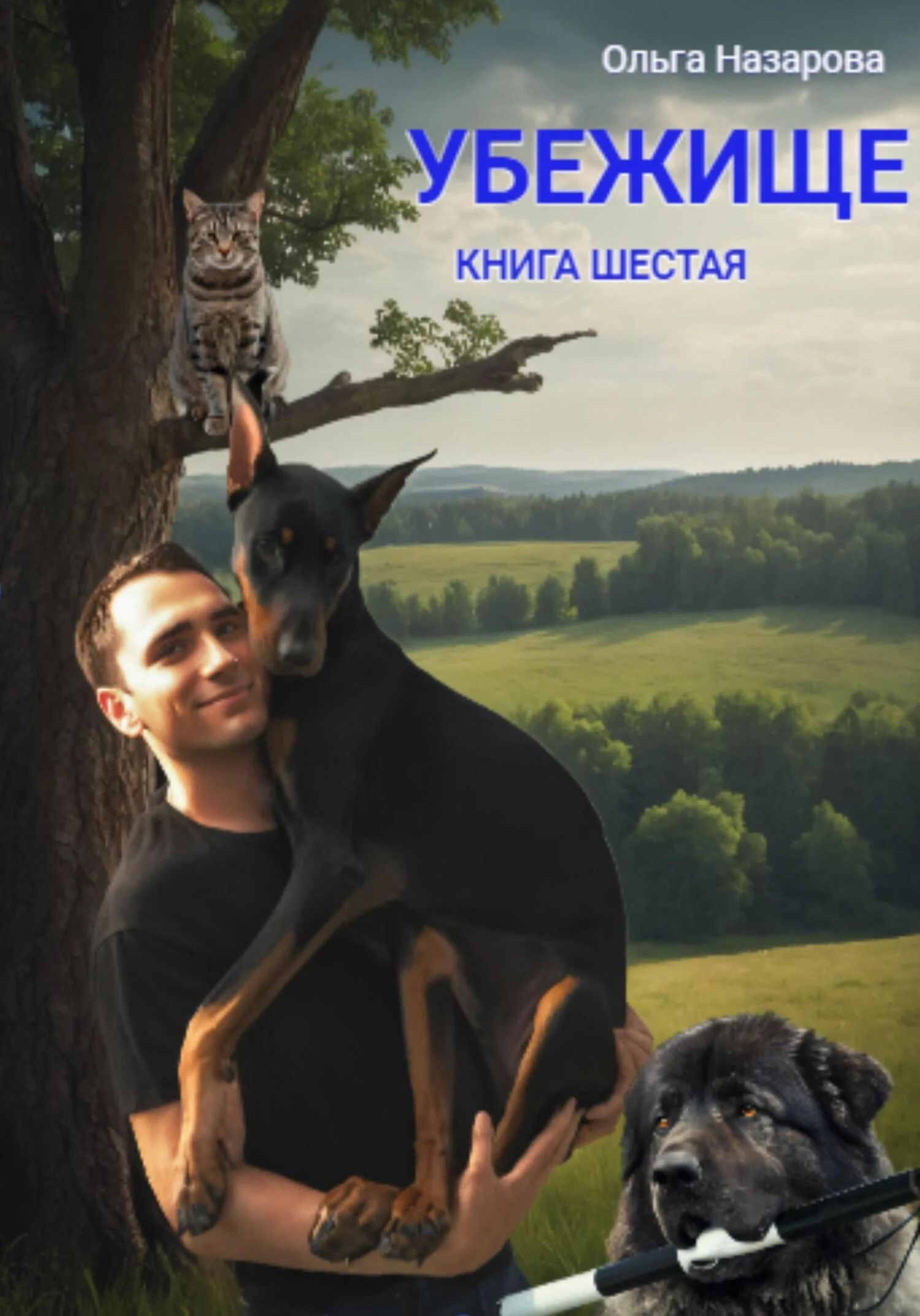 Обложка Убежище. Книга шестая