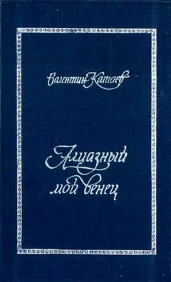 Обложка Трава забвенья