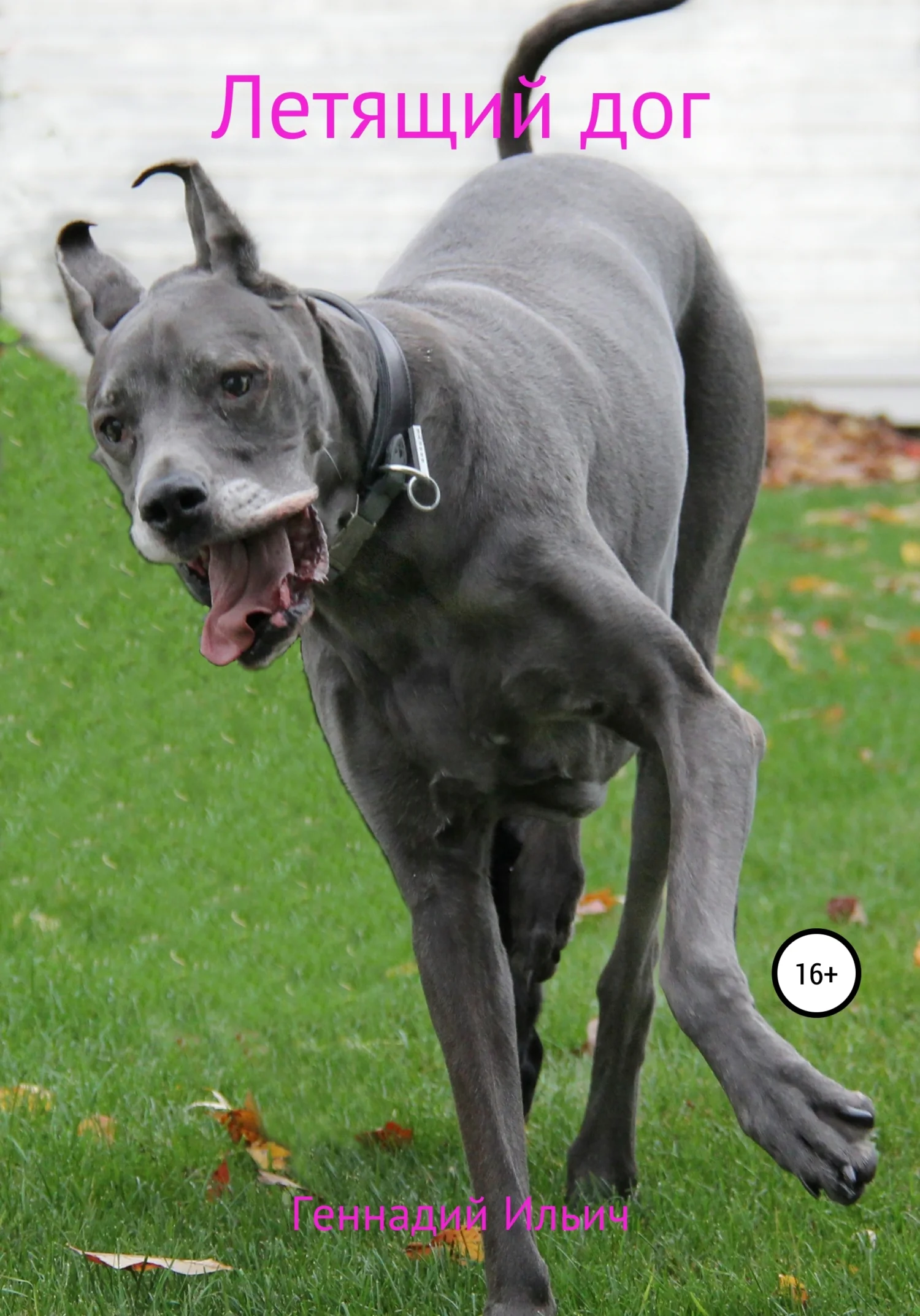 Обложка Летящий дог