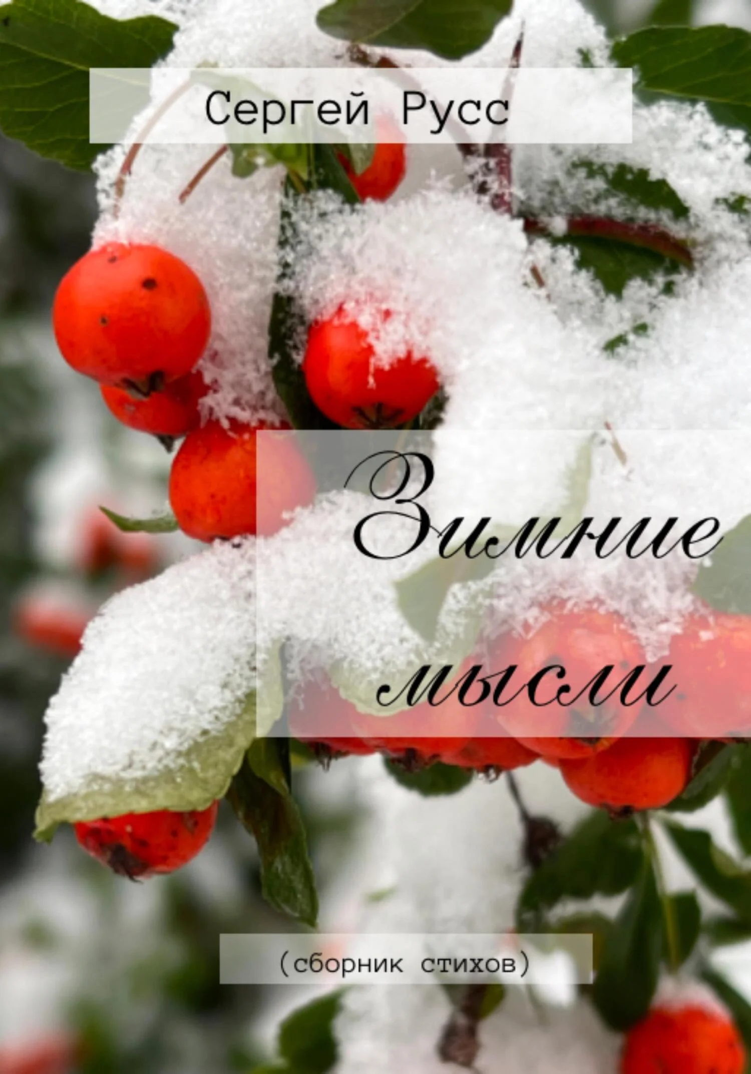 Обложка Зимние мысли