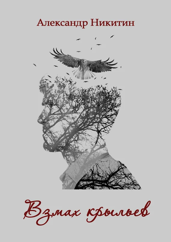 Обложка Взмах крыльев