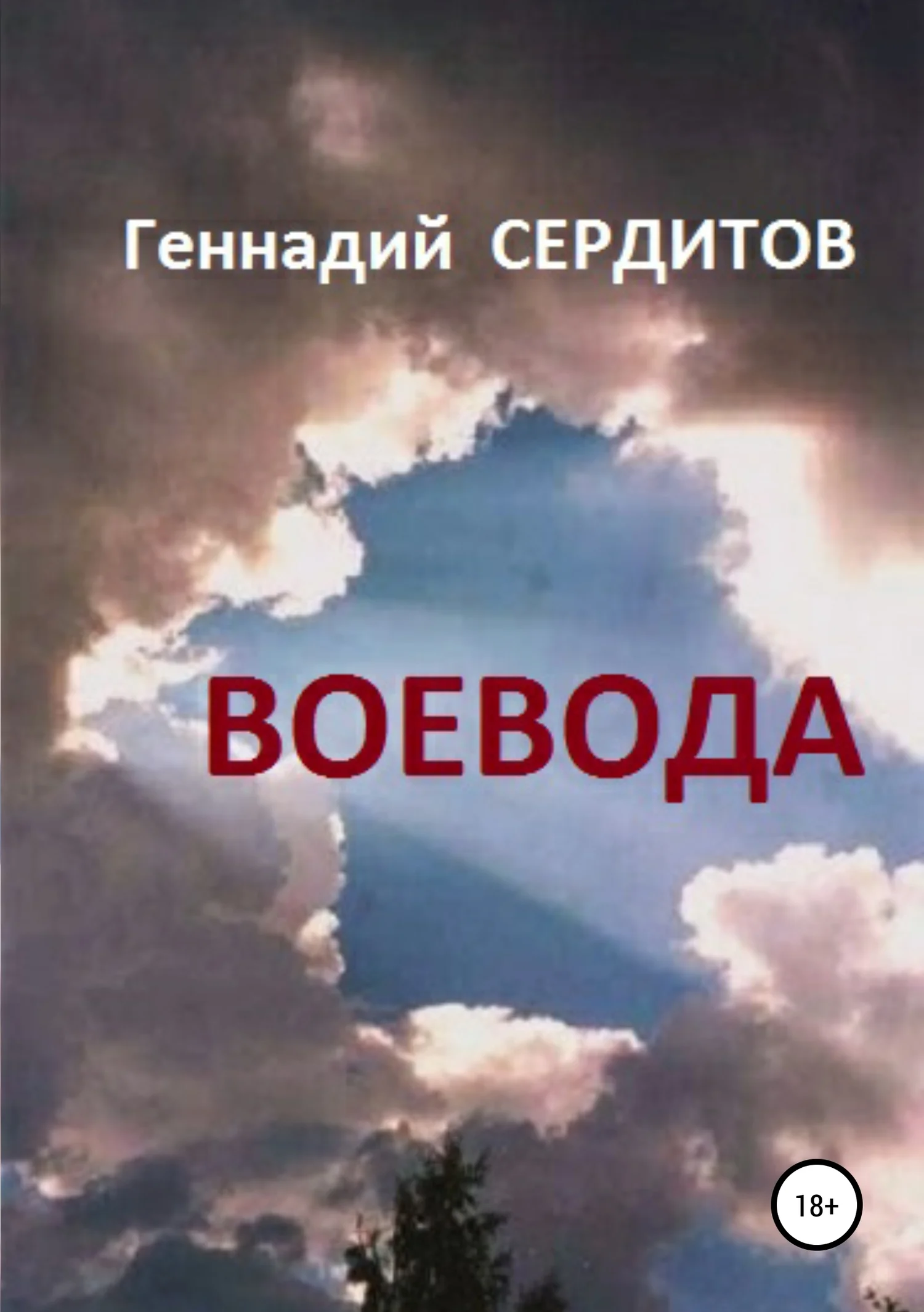 Обложка Воевода