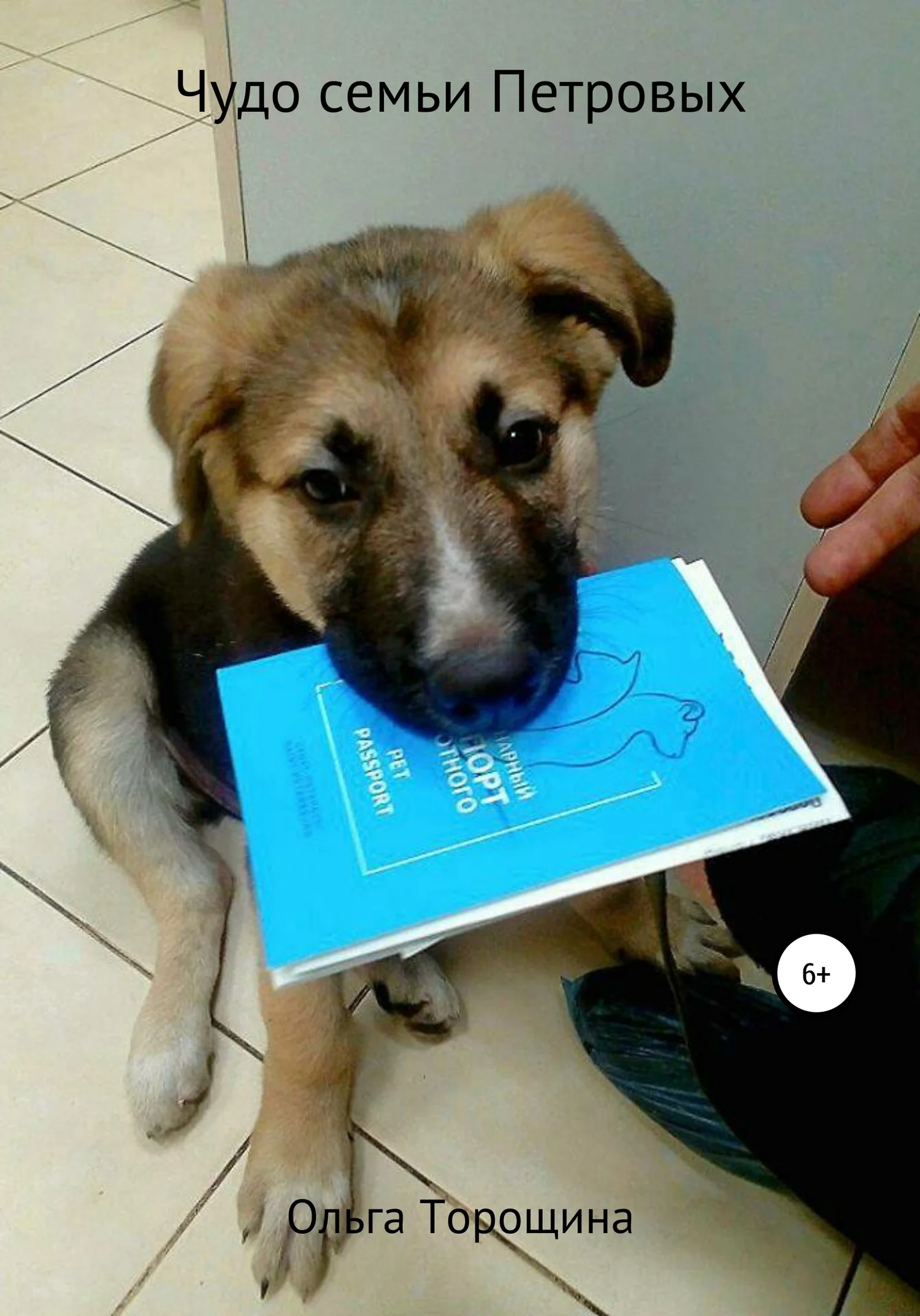 Обложка Чудо семьи Петровых