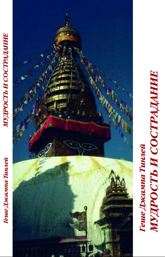 Обложка Мудрость и сострадание