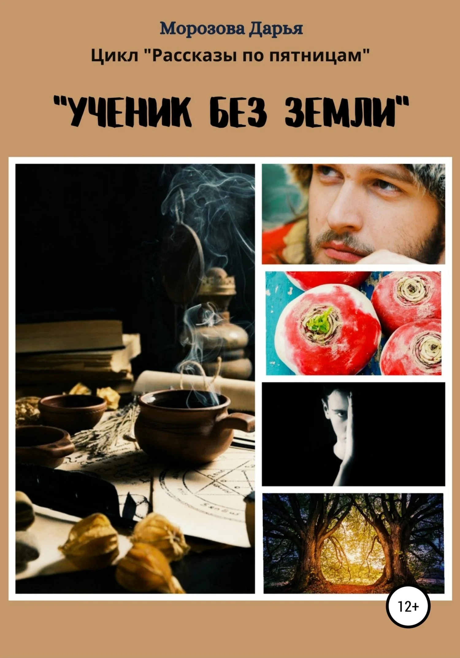 Обложка Ученик без земли