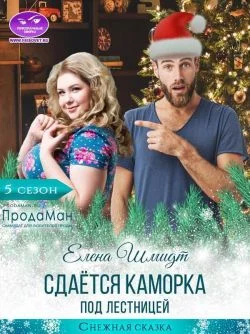 Обложка Сдаётся каморка под лестницей