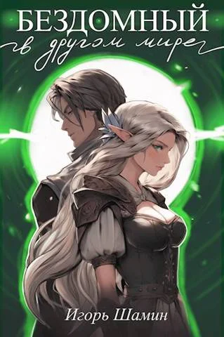 Обложка Бездомный в другом мире