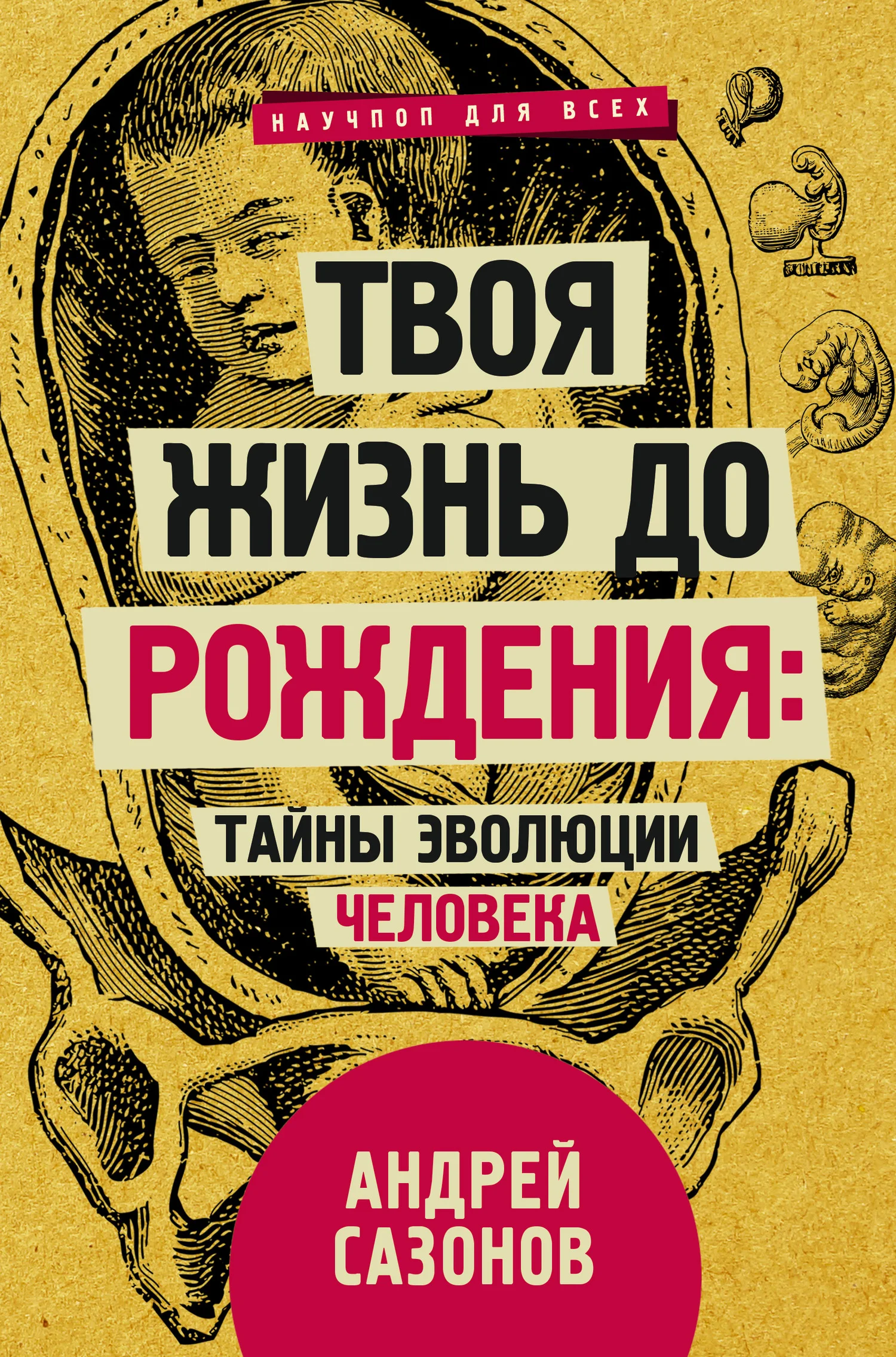 Обложка Твоя жизнь до рождения: тайны эволюции человека
