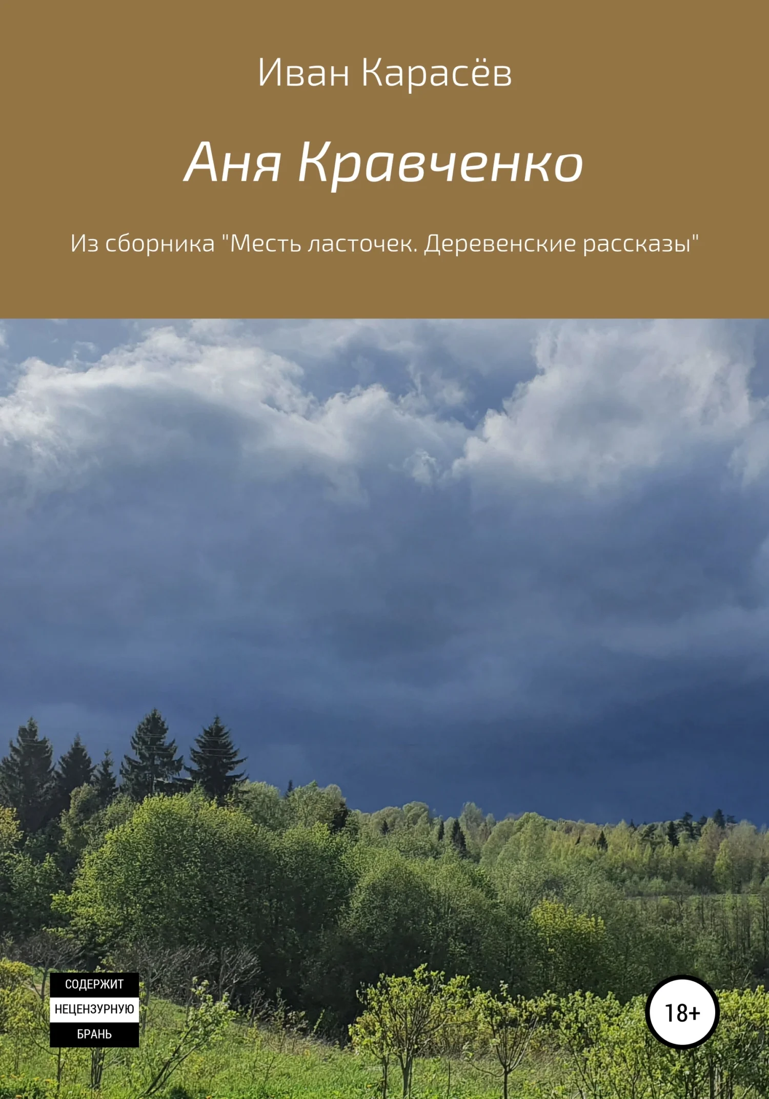 Обложка Аня Кравченко. Из сборника «Месть ласточек. Деревенские рассказы»