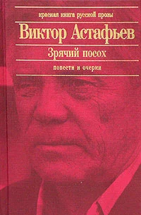 Обложка Паруня